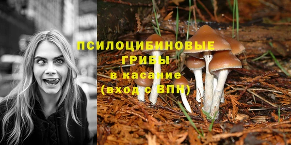 мдпв Богородицк
