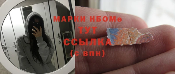 мдпв Богородицк