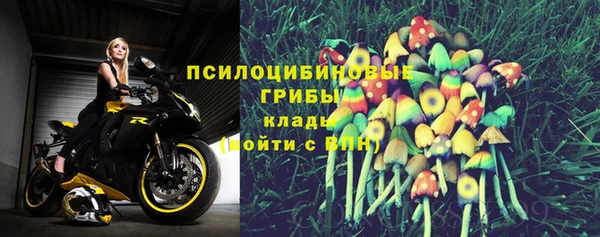 мдпв Богородицк
