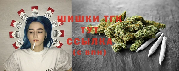 мдпв Богородицк